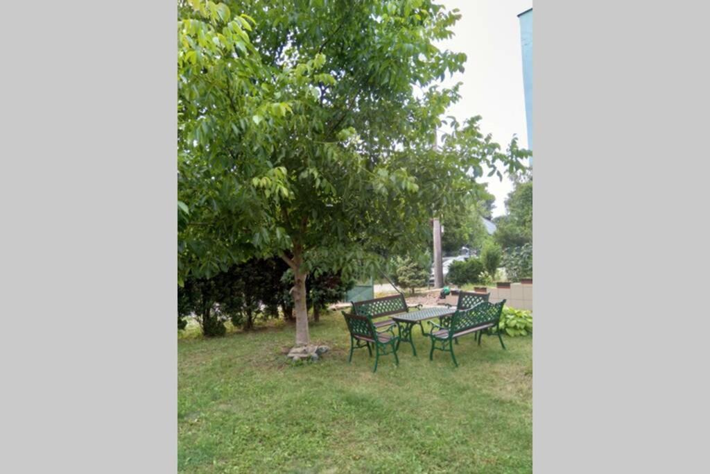 Hannah - Relax Dom Pod Orechom Apartman2 Travnica Exterior photo